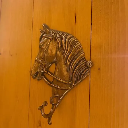 Apartamento La Veranda Nella Neve -