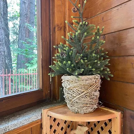 La Veranda Nella Neve - Apartamento *