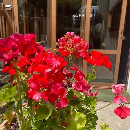 Apartment La Veranda Nella Neve -