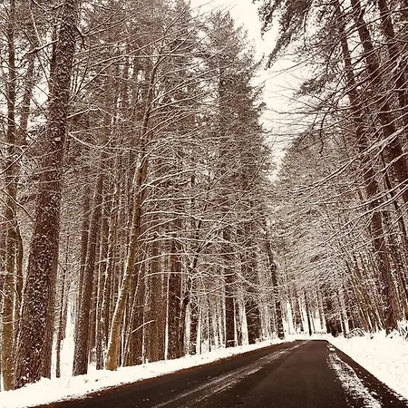 La Veranda Nella Neve - Apartment Camigliatello Silano
