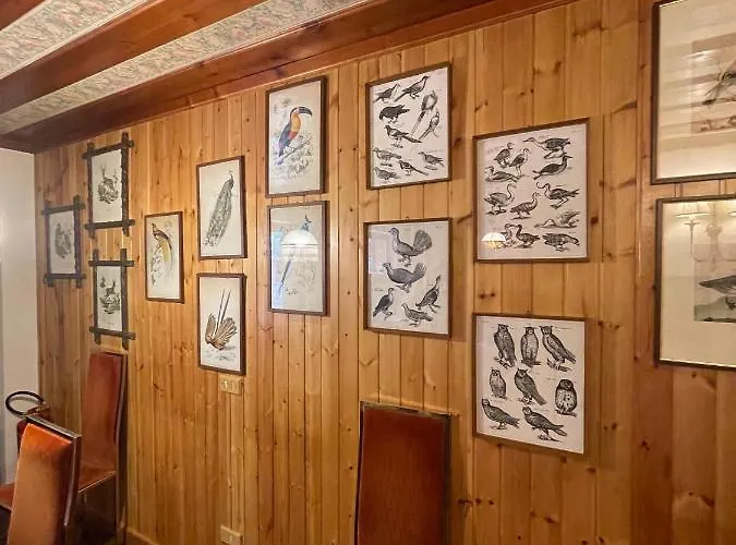 La Veranda Nella Neve - דירה *