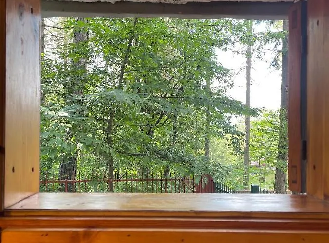 La Veranda Nella Neve - * קמיליאטלו סילאנו