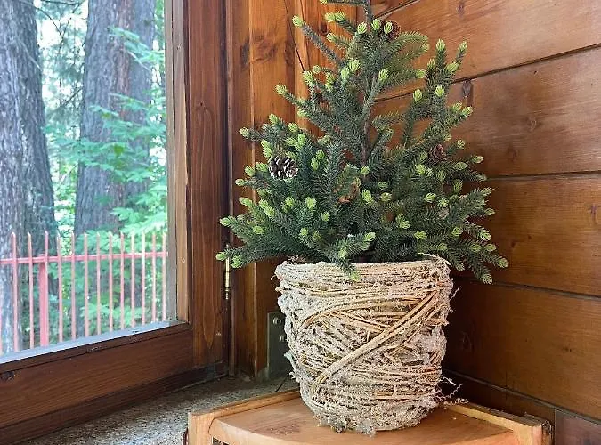 La Veranda Nella Neve - דירה *