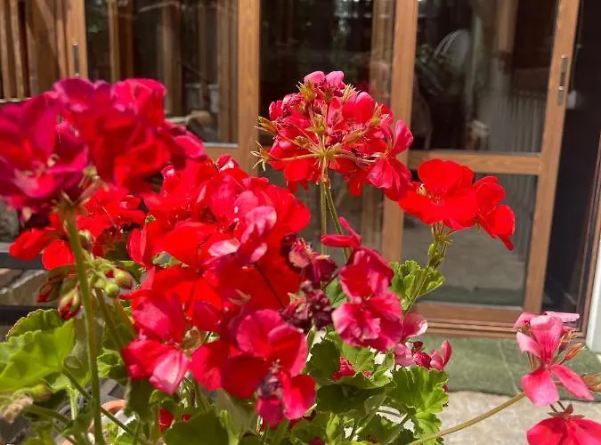 דירה La Veranda Nella Neve -